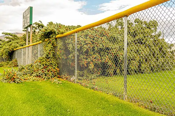 Chain Link Fence Series Application