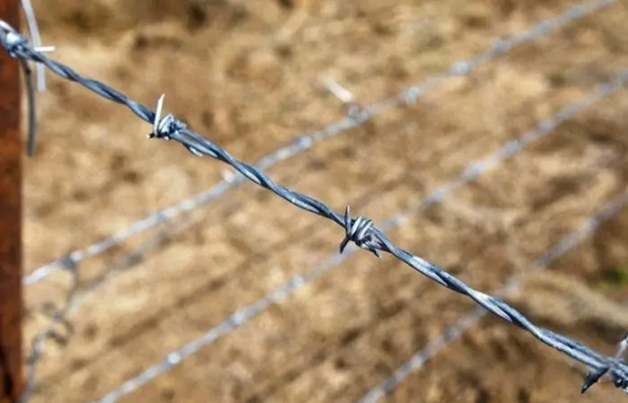 The Invention and Development of Barbed Wire A Historical Overview