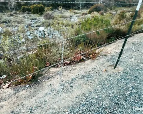 barb wire fence stays 2