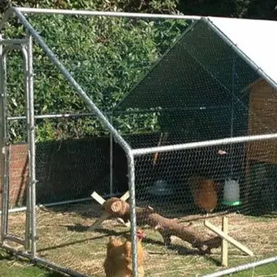 metal-walk-in-chicken-coop-backyard