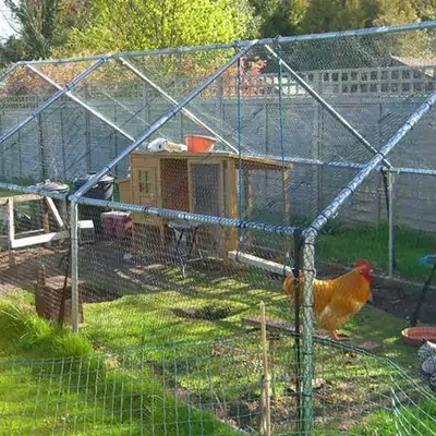 metal-walk-in-chicken-run-farm