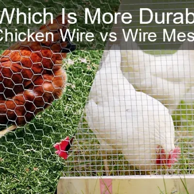 Chicken Wire vs. Wire Mesh