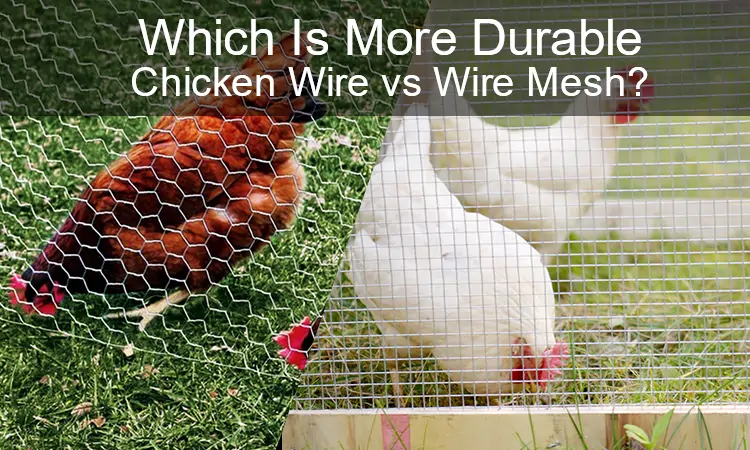 Chicken Wire vs. Wire Mesh