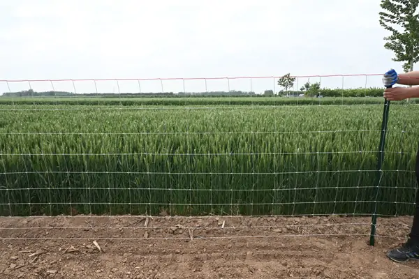 Fence Post Spacing 1