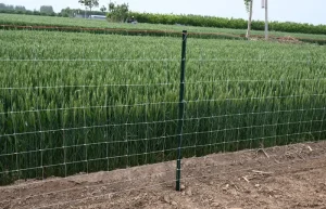 Fence Post Spacing