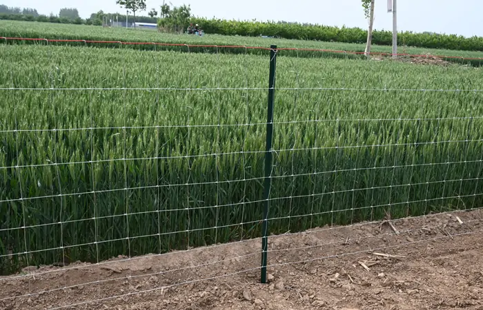 Fence Post Spacing