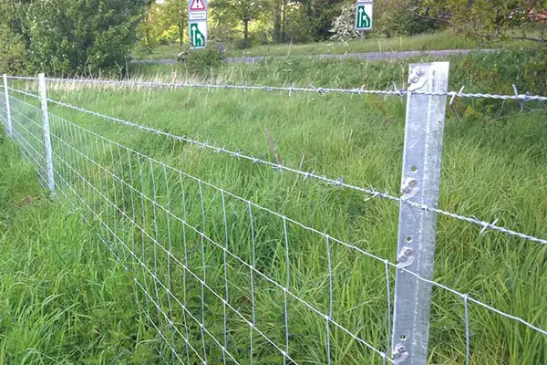 How to Keep Cattle from Going Through Fences 2